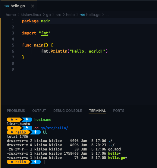 Developing in Lima with Visual Studio Code